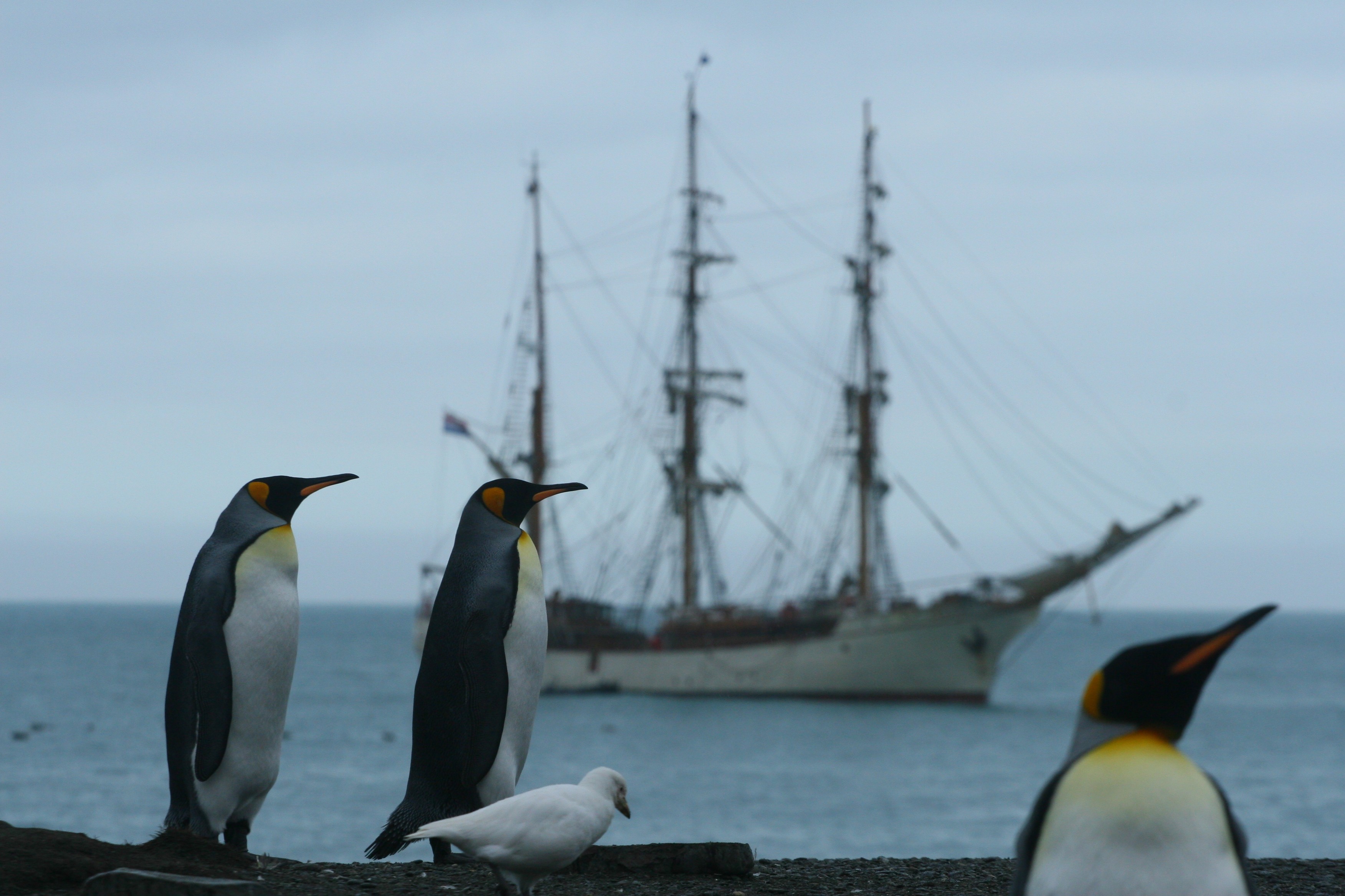 S plachetnicí do Antarktidy
